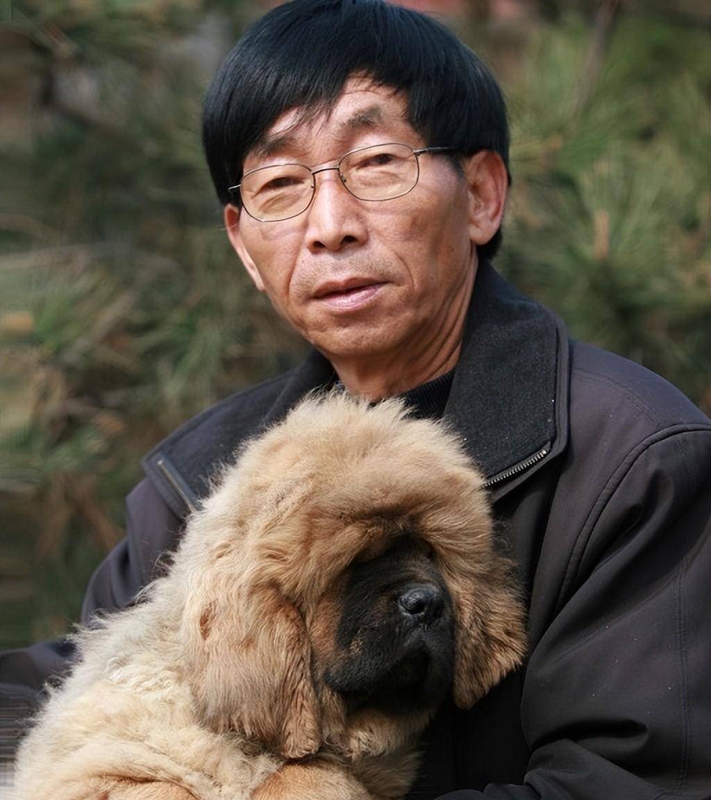 然而,真正引起轰动的是一个名叫王占奎的狗贩子,他从西藏购得藏獒,一