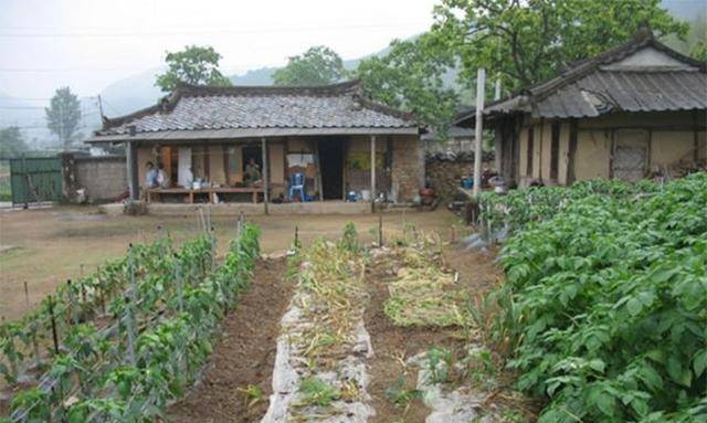 直击韩国农村:被城市抽去活力,没有男人,中年妇女撑起半边天