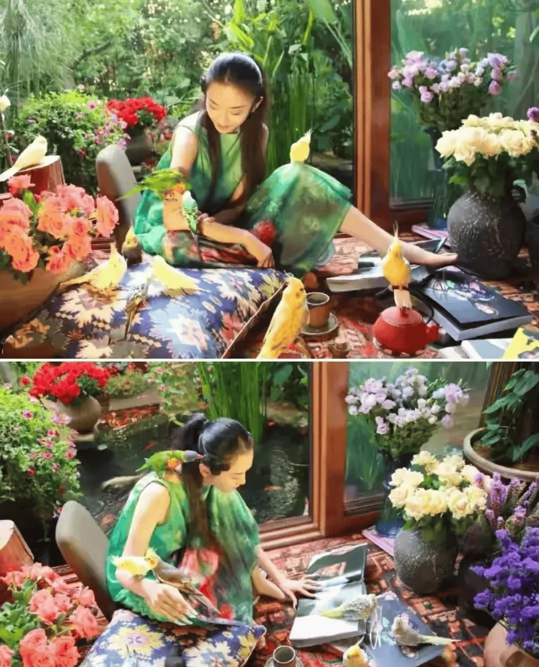 洱海月影下的舞蹈诗篇:揭秘杨丽萍"月亮宫"与她的超凡人生!