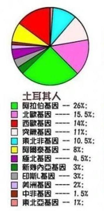 阿拉伯人基因图谱图片