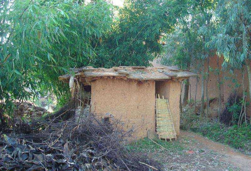 老太意外在茅坑舀出大碗,随后成了鸡食碗,10年后却被鉴定值5亿