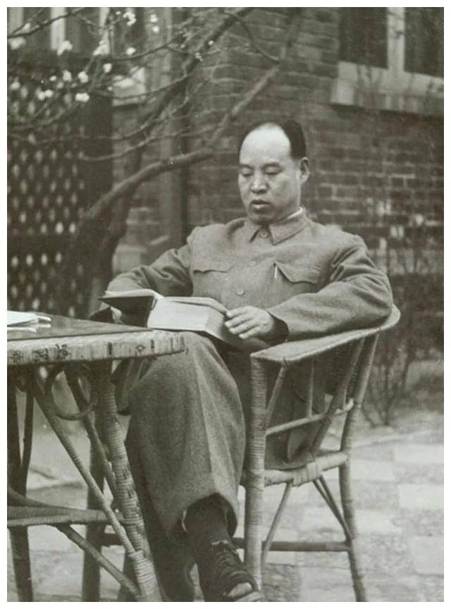 在吴家花园中,彭真向彭总说了什么话?让彭总露出久违的笑容!