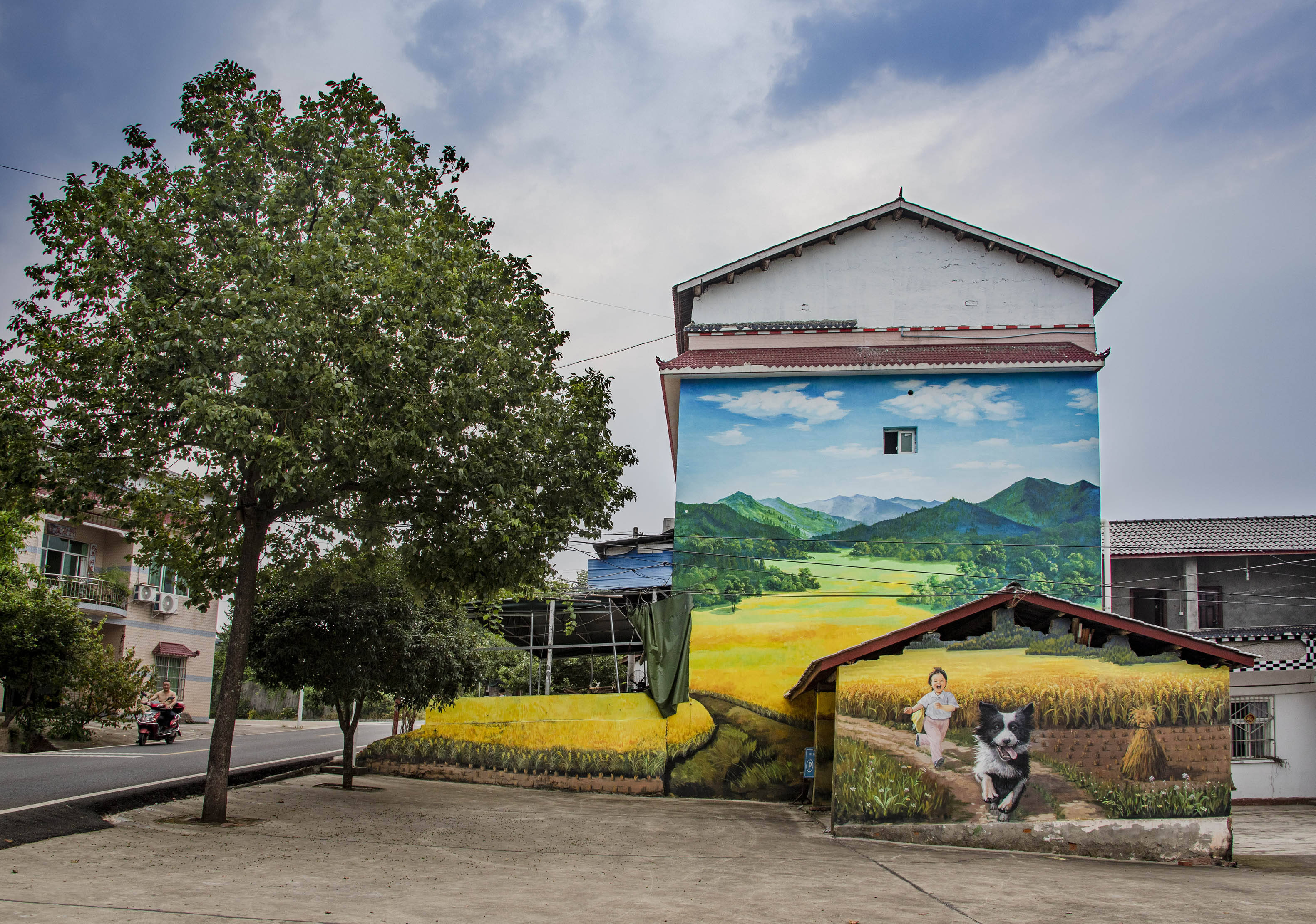 成都东部新区贾家街道:墙画扮靓菠萝村