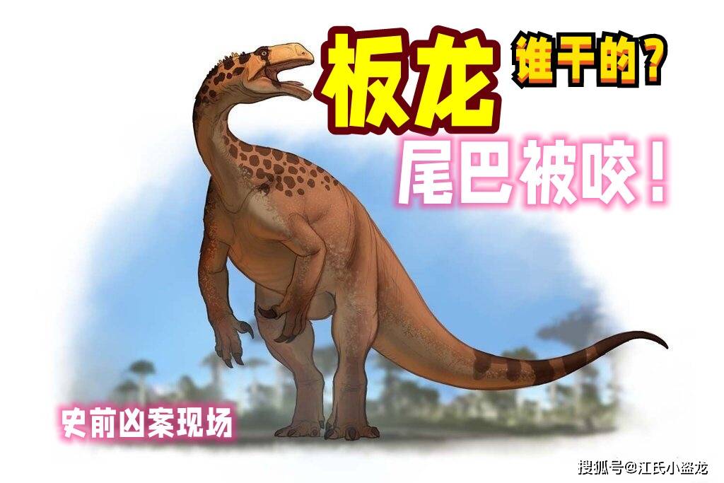 【史前凶案现场】谁咬了小板龙的尾巴?_图片_化石_网络