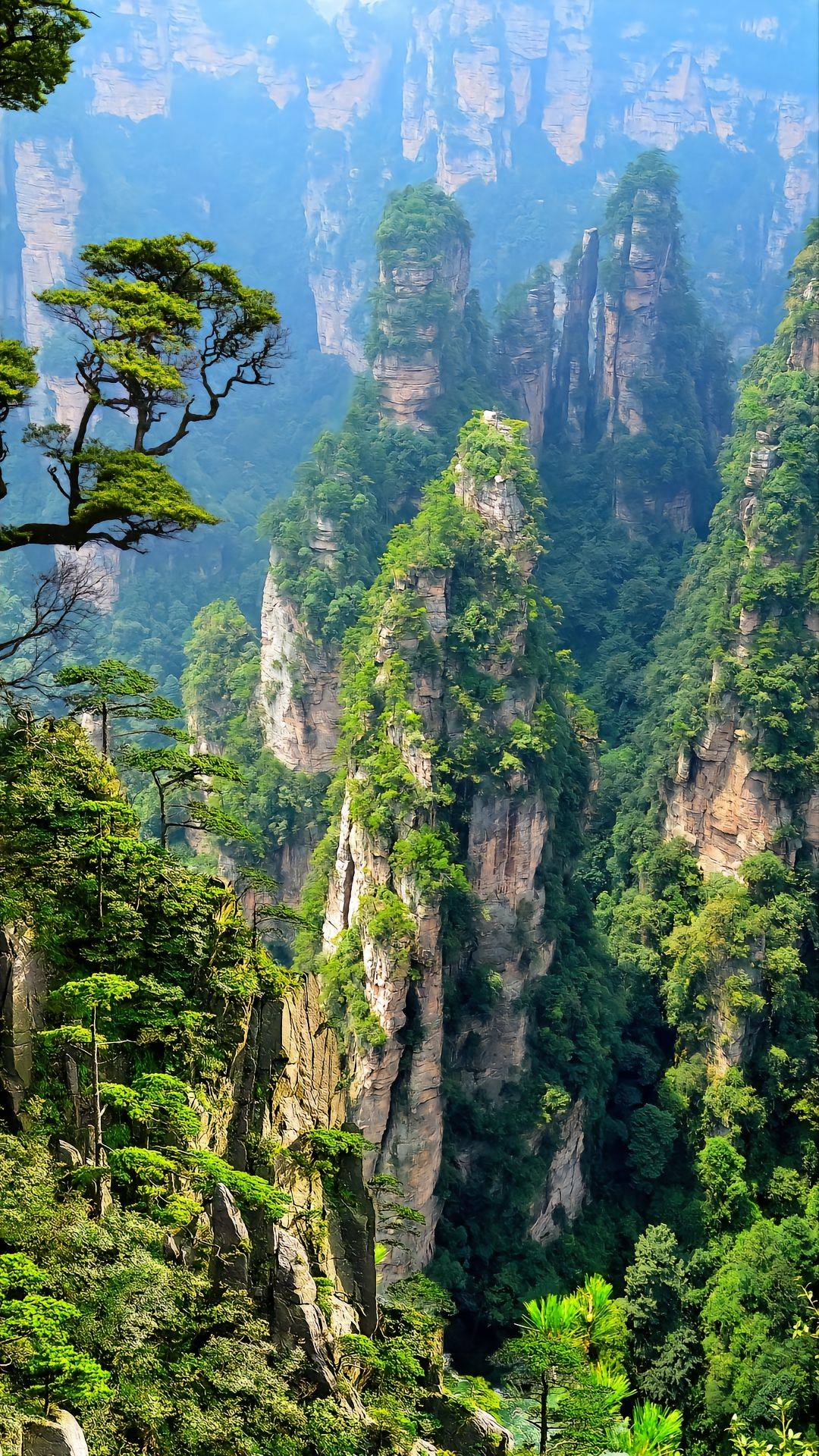 张家界山水照片图片