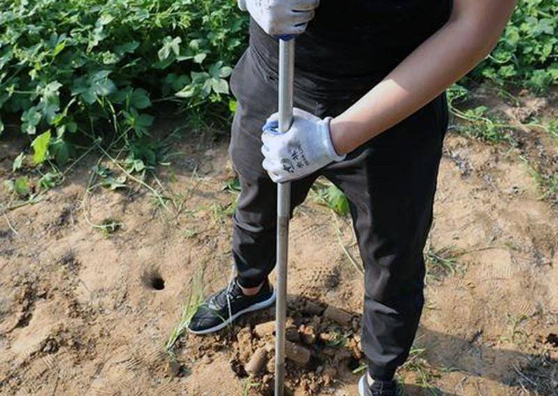 这位盗墓者号称"土行孙",擅长用探杆找墓,盗出铜鼎才卖2万4_杜团结_王