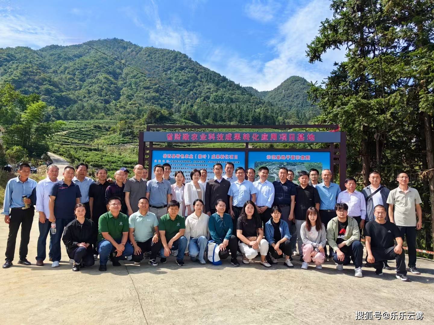 特色农业观摩与培训现场_茶叶_头陀镇_虎形村