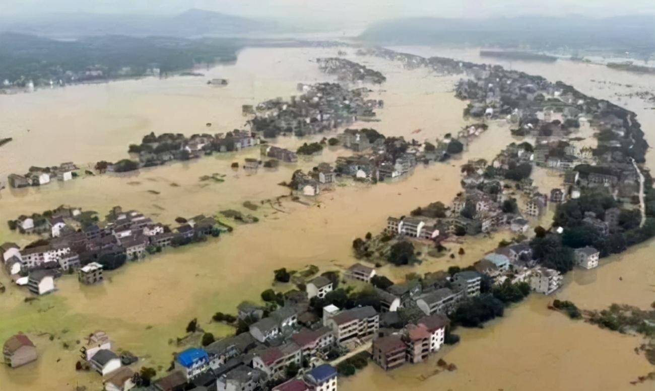 1998年特大洪水中,7岁女孩抱树9小时后获救,长大后决定回馈社会