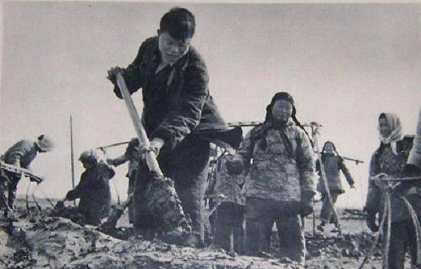 60年代江苏知青董加耕,为回乡务农不惜放弃去北大深造,结果如何