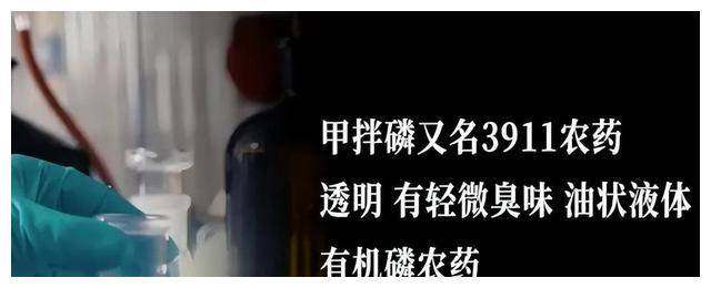 静海一中惊人事件:7名女生集体死亡的真相揭秘