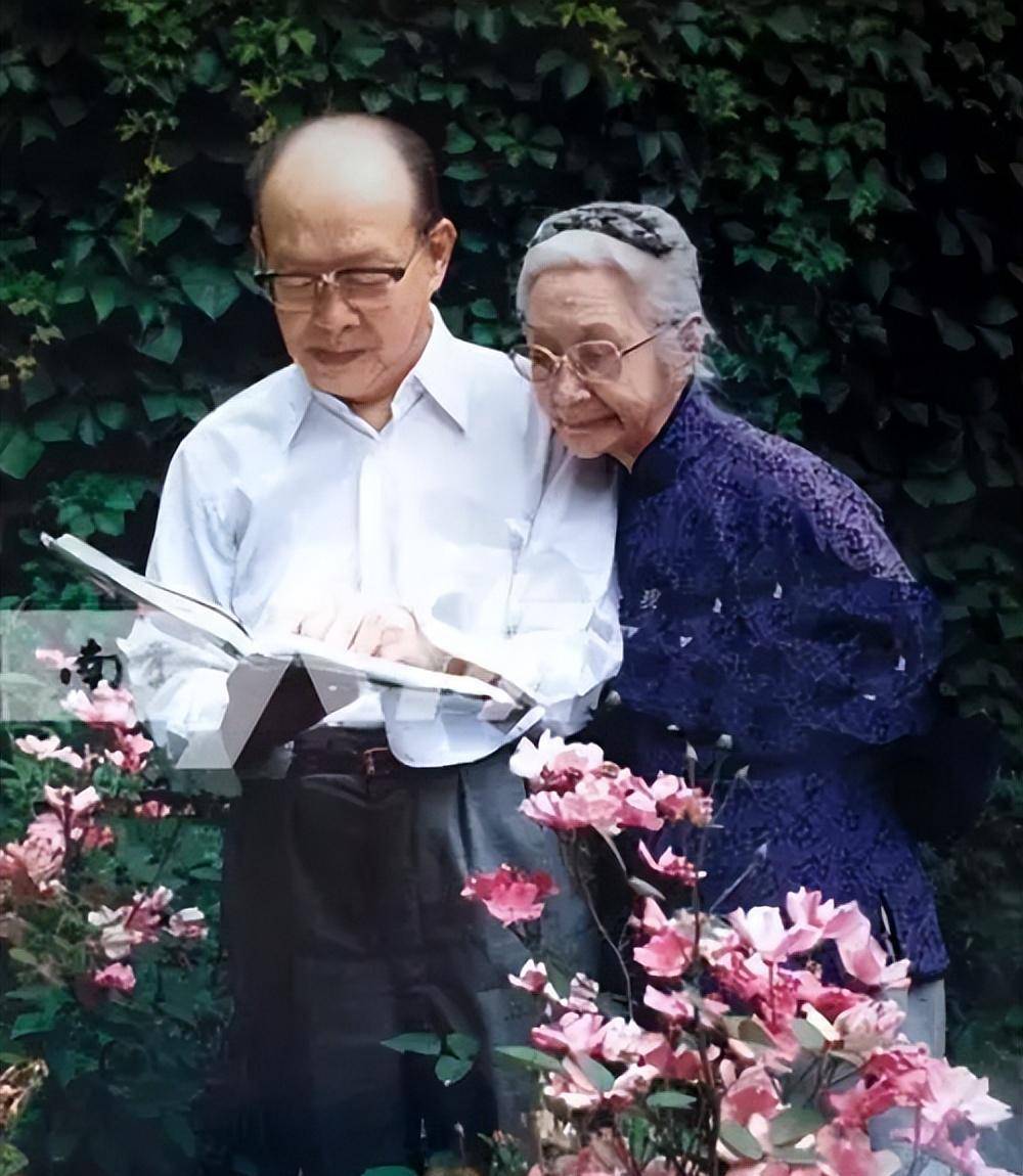 民国最后的大家闺秀,年轻时美若天仙,80岁依然优雅迷人_张允和_周有光