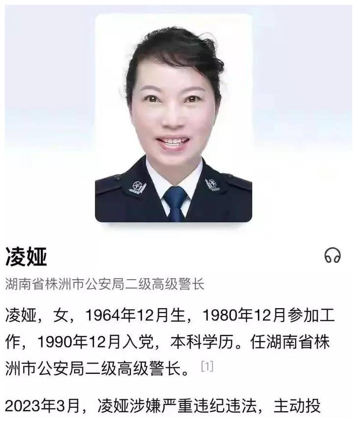 是凌娅的副手文迪波,肖文伟(原株洲副市长),阳卫国(原株洲宣传部长)