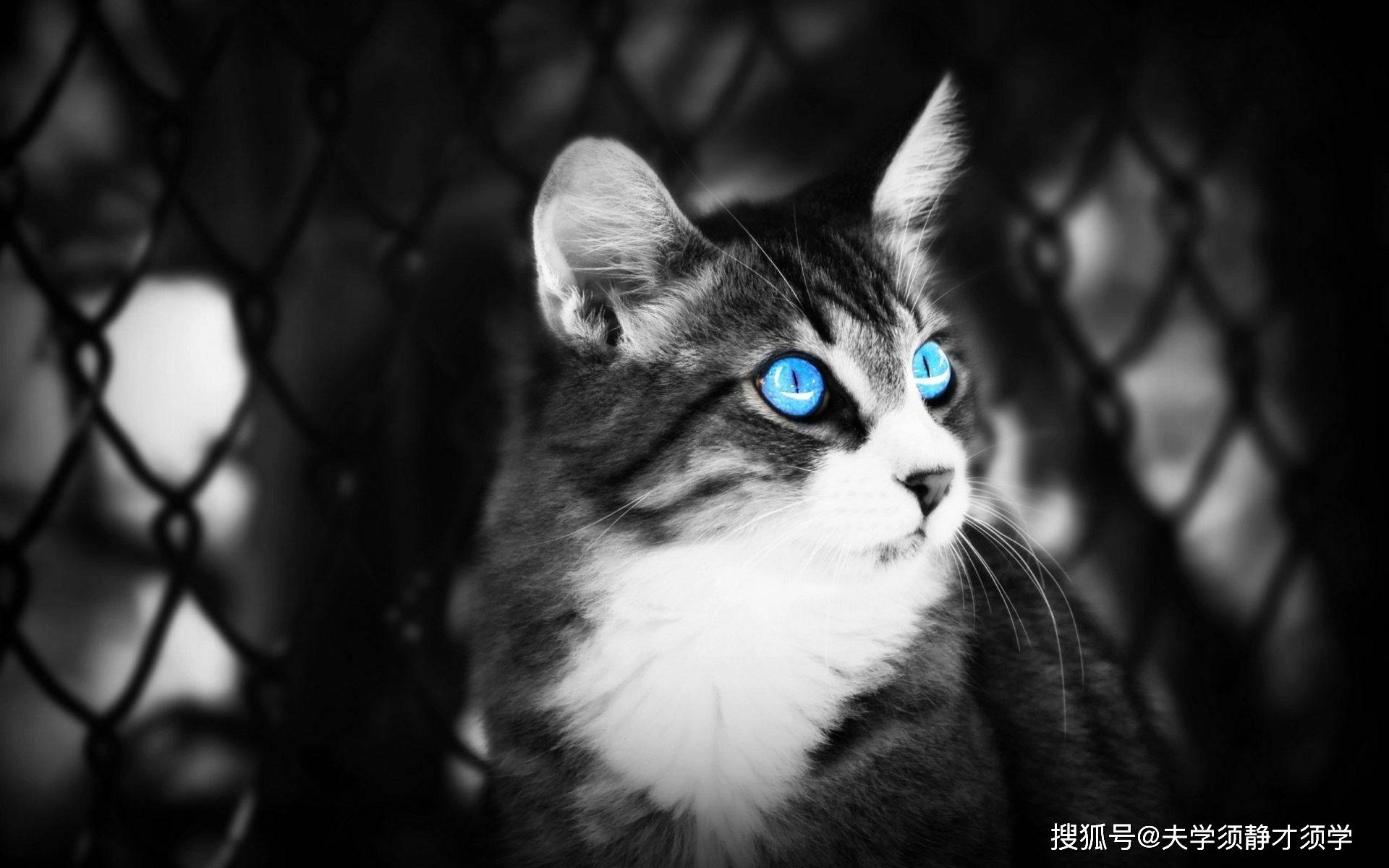 搞笑段子：