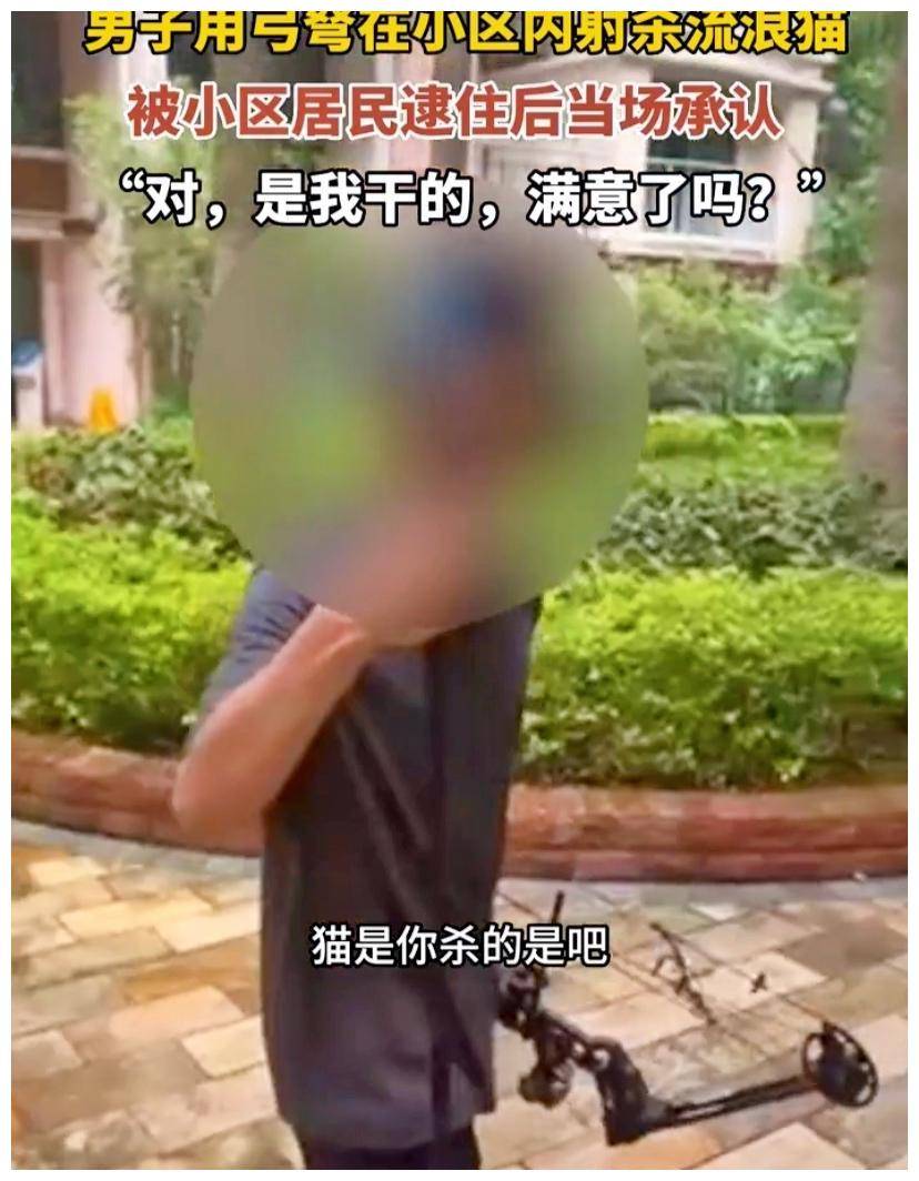深圳:男子小区内持弓射杀流浪猫,被逮嚣张喊话:"就是我干的"