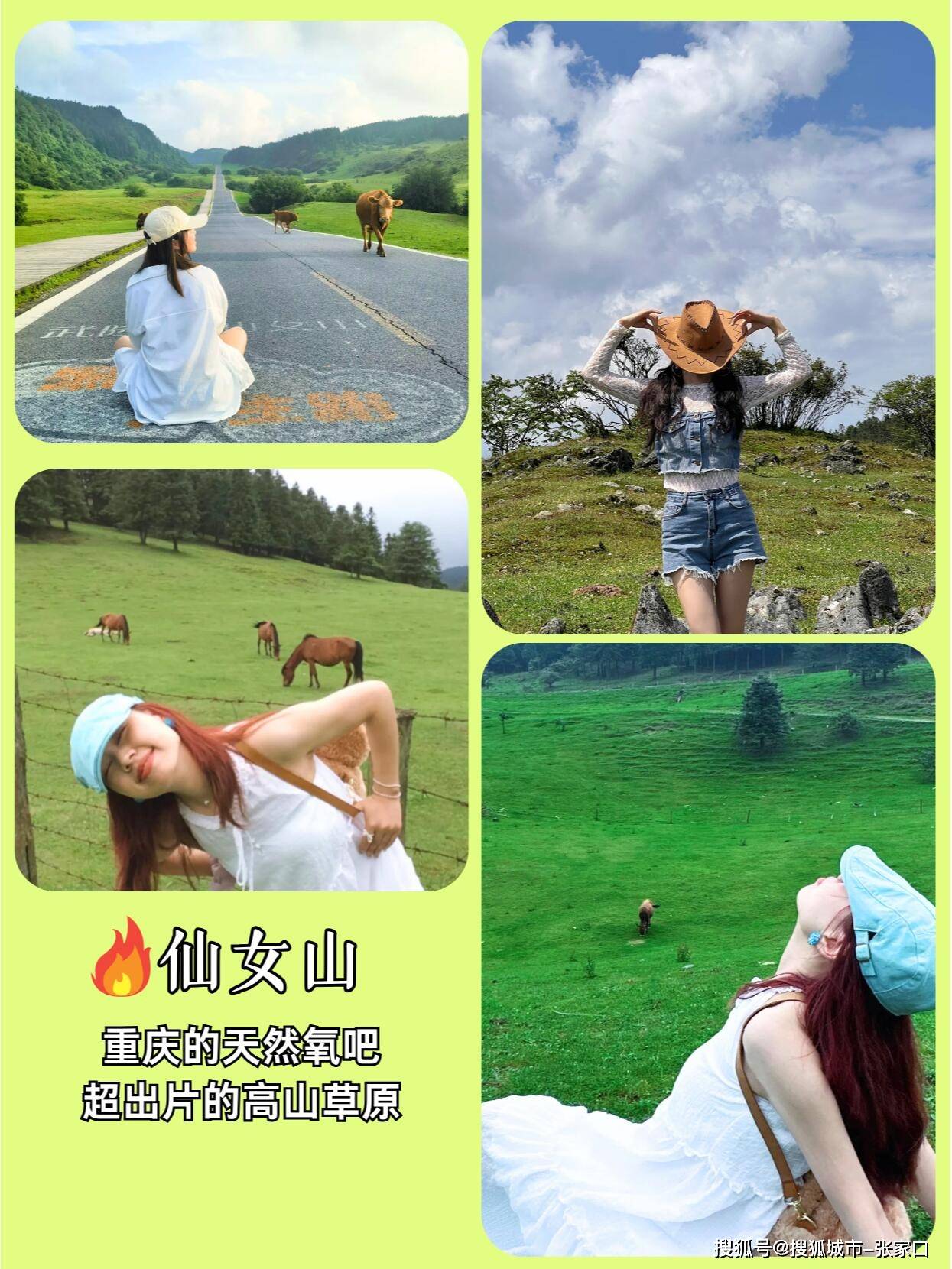 重庆私人导游服务(重庆私人导游联系方式)
