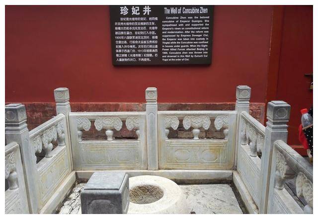珍妃是因何而死?井口仅不到10公分,她又是怎么掉下去的?