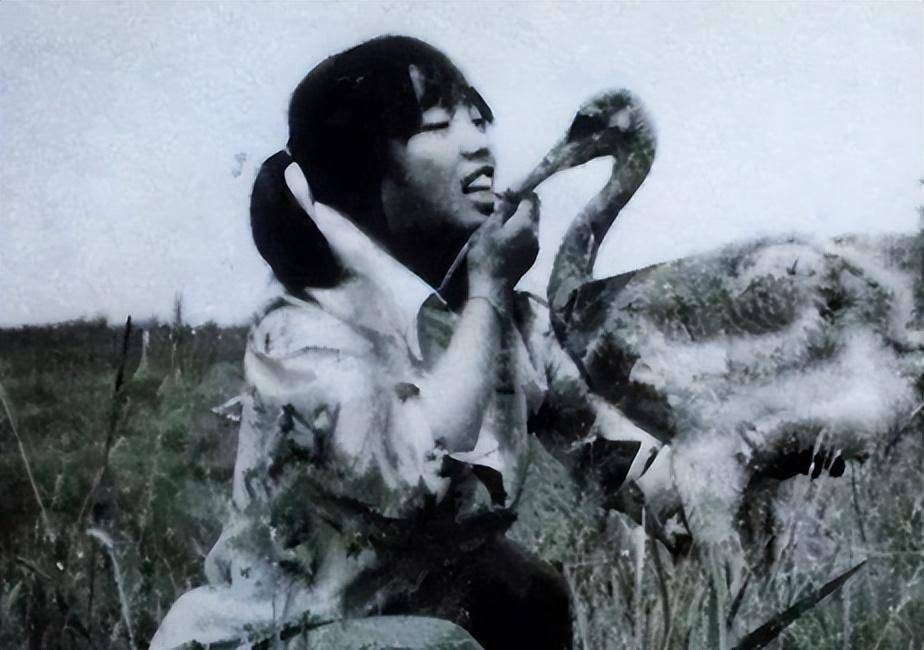 回顾丹顶鹤女孩牺牲27年后,弟弟也在保护区殉职,今侄女接过接力棒