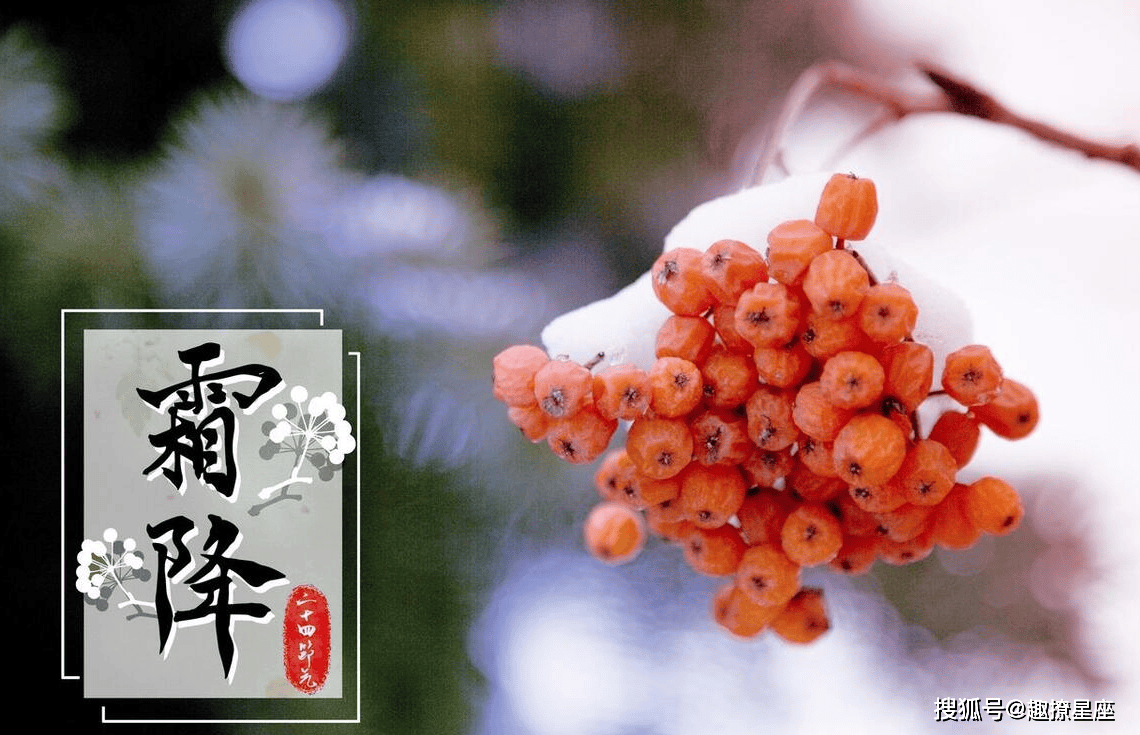 霜降前后生肖运势变化(霜降属什么生肖)