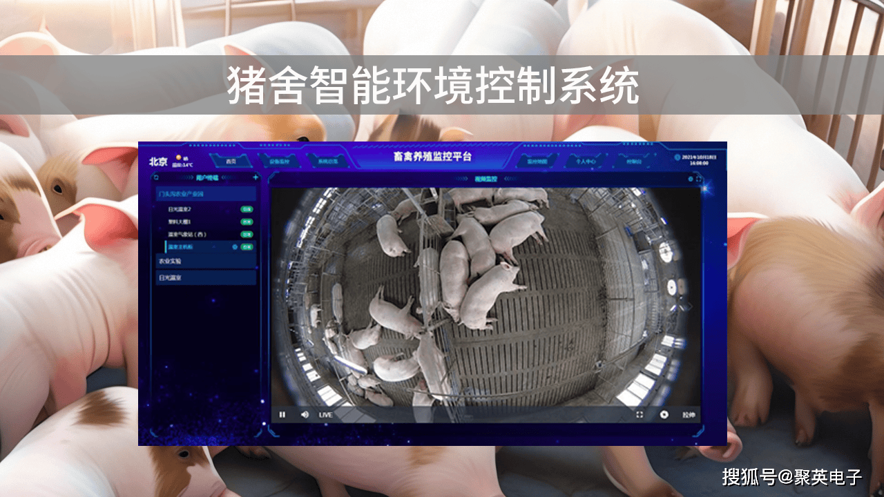 猪舍智能环境控制系统,推动养殖业智能化