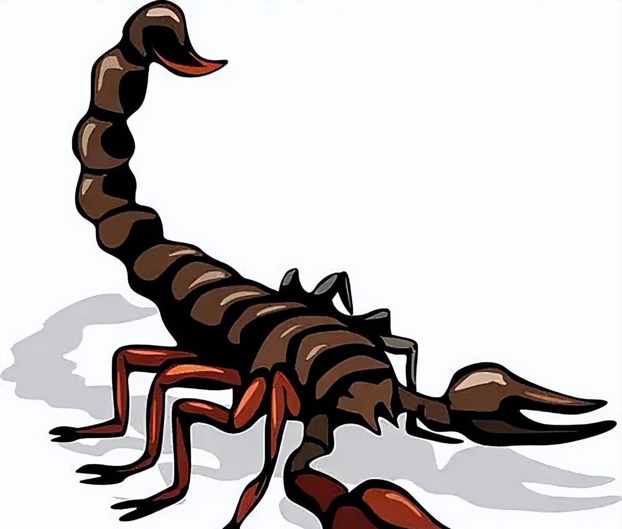 河南男子吃蝎子30多年,一次能生吃15只,身体却无异样:就是解馋