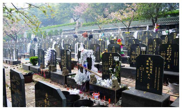 这事只好上法庭——要求法院判令程中返还程一仁的骨灰,葬回老祖坟.