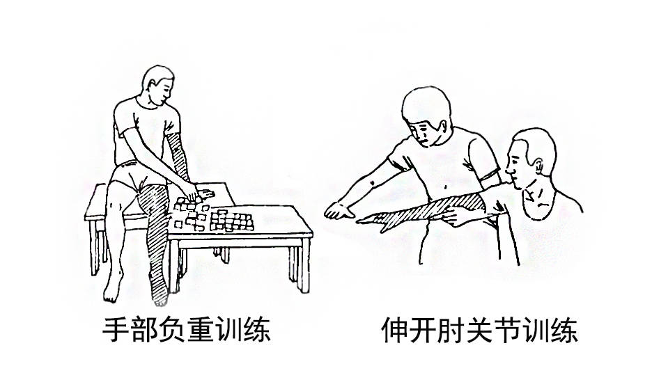 等动训练图片