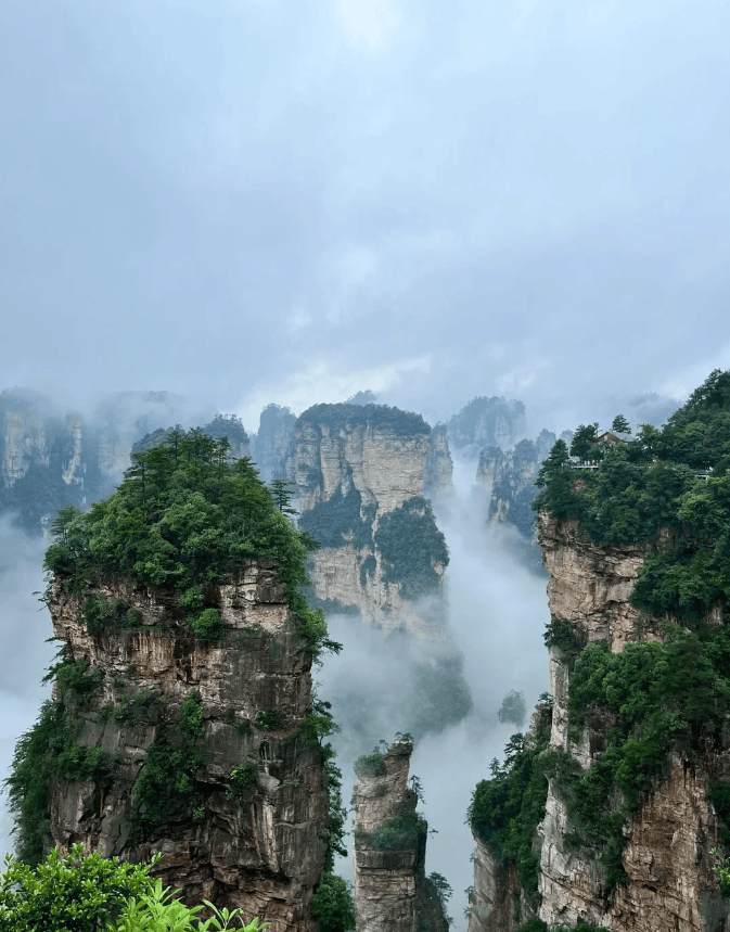 全家总动员张家界5天4晚深度游:天门山,森林公园精彩还有避坑秘籍