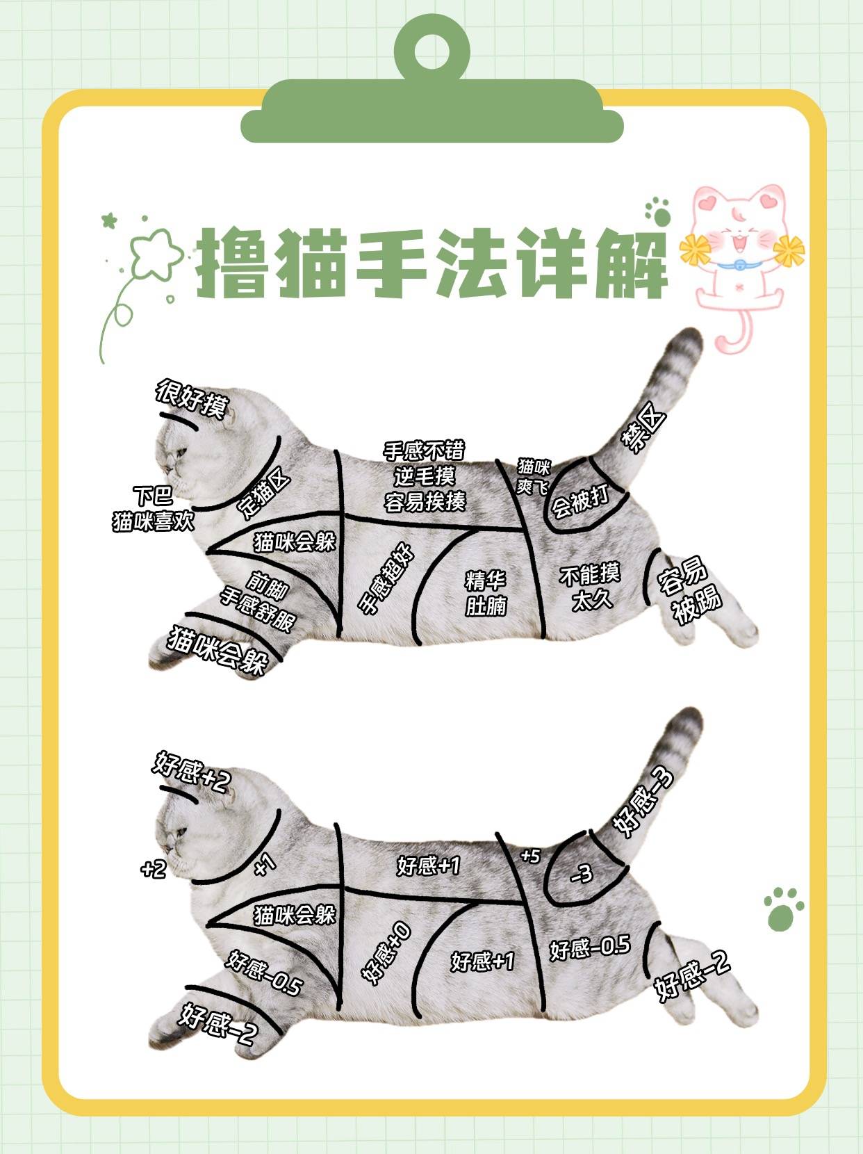 只有老手才知道的撸猫指南