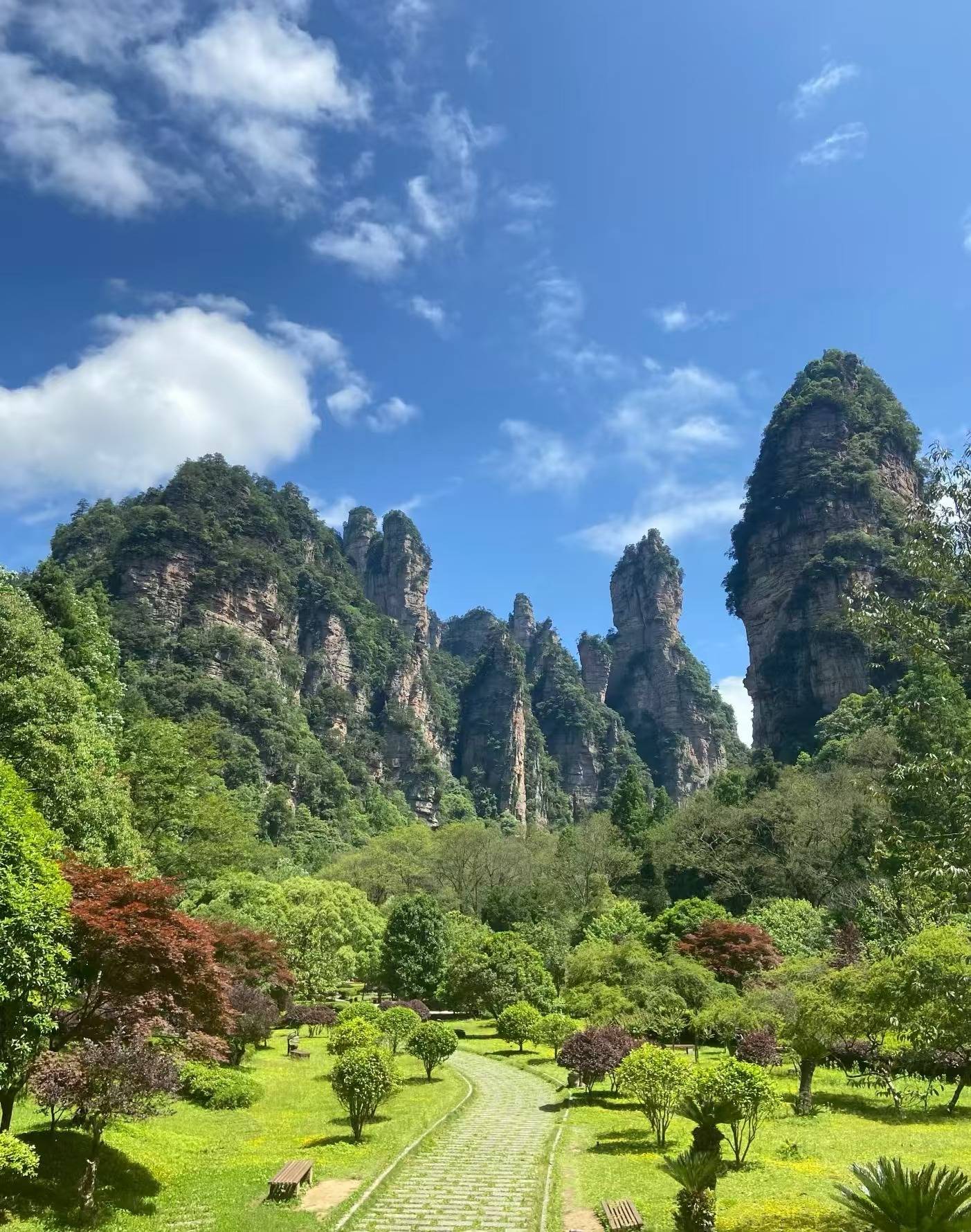 张家界森林公园风景图图片