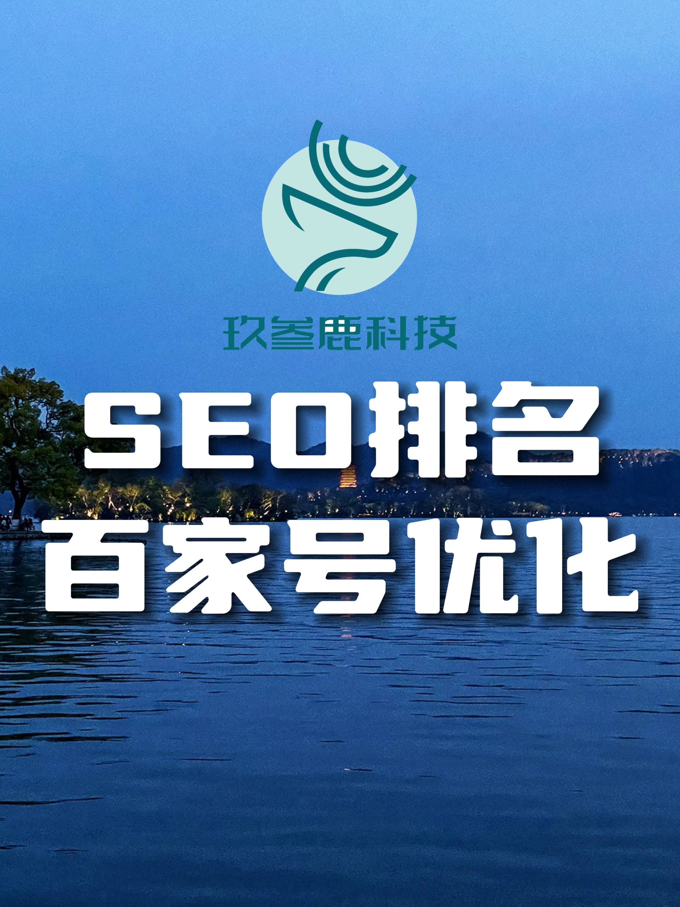 必应seo查询=必应是一款全球著名的搜索引擎