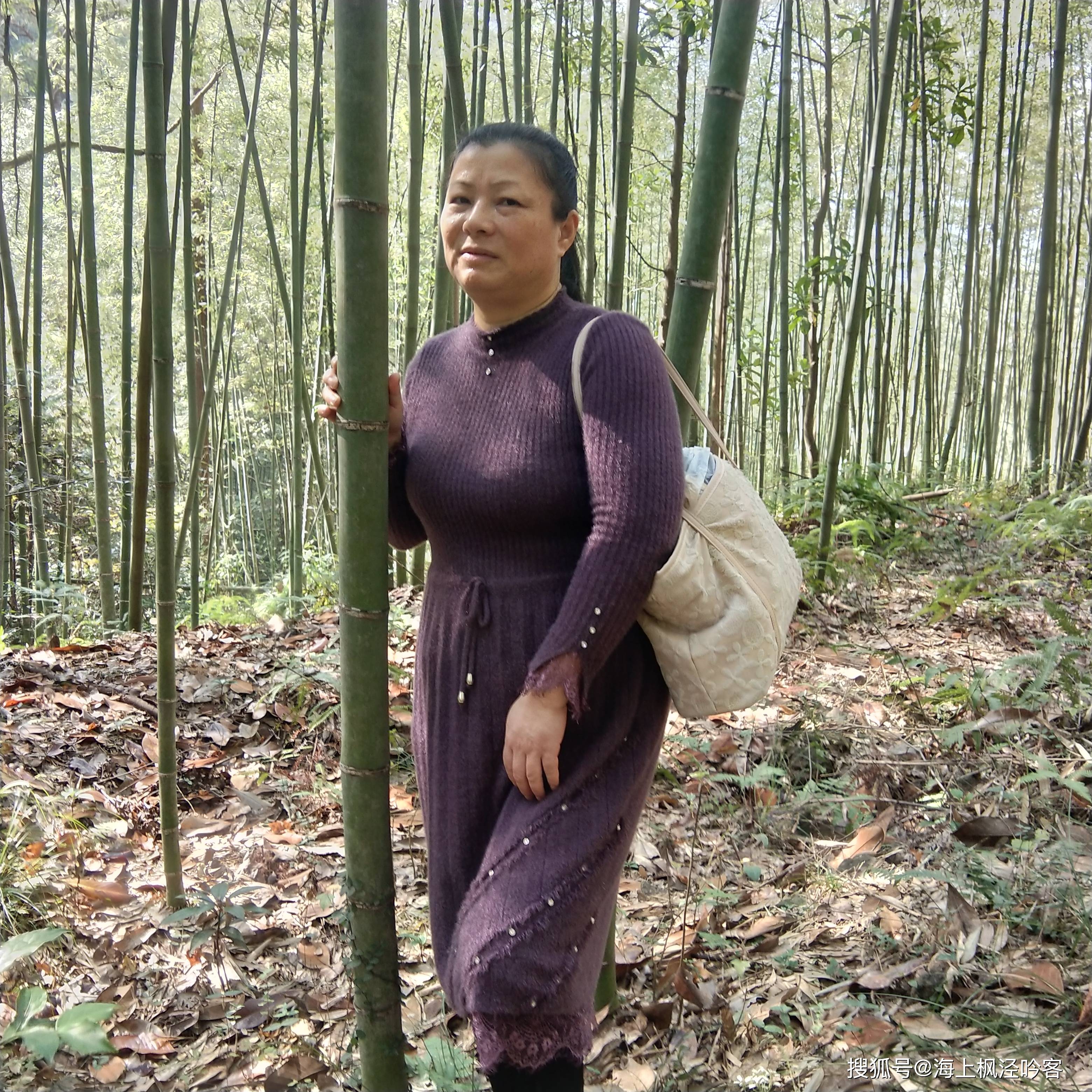 徘徊在寻芝岭古道的道口