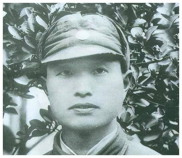 彭小枫报考哈军工受阻,张爱萍质问:彭雪枫的儿子你们也不信任吗