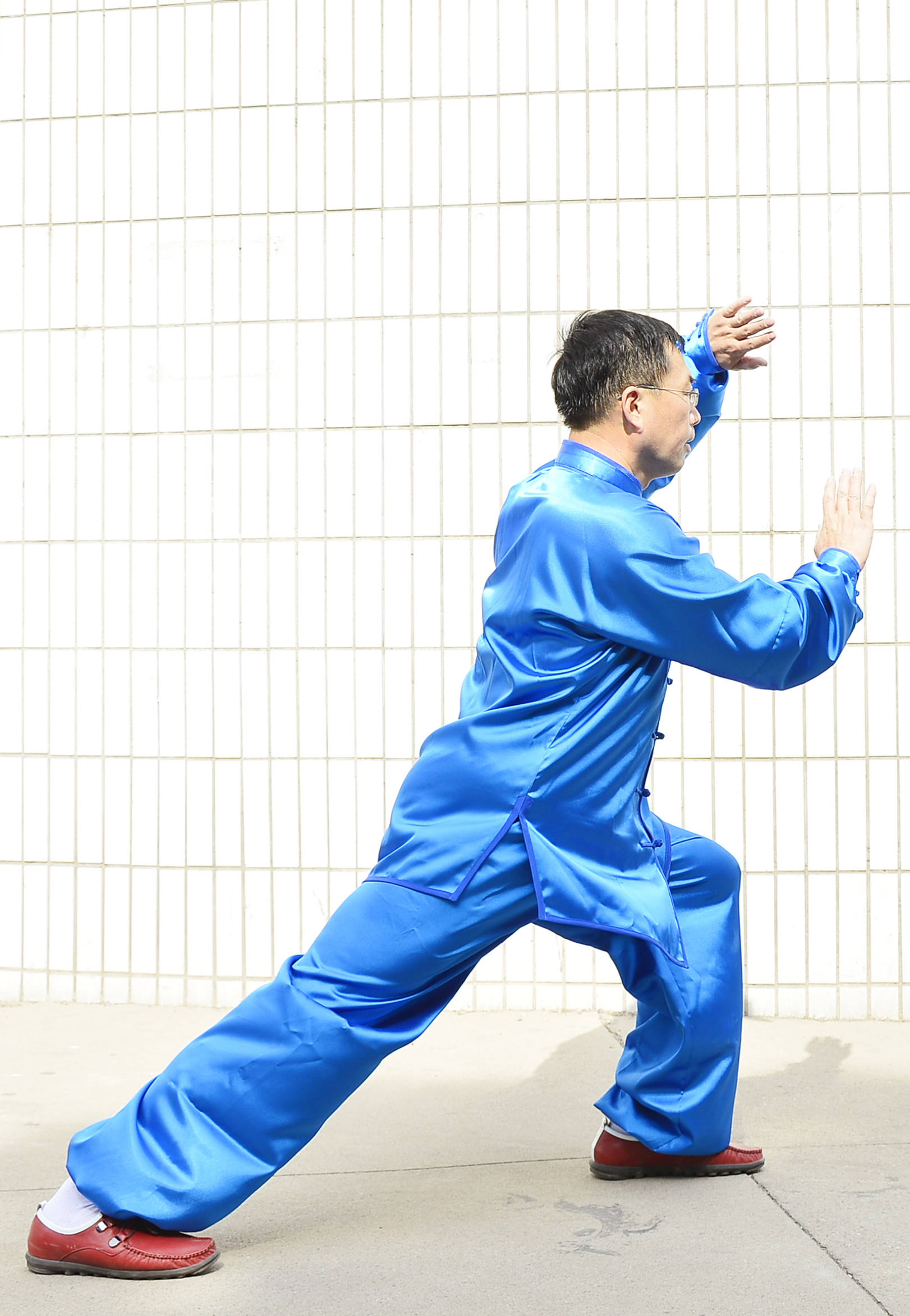 李复祯心意六合拳闸势捶精解 权成