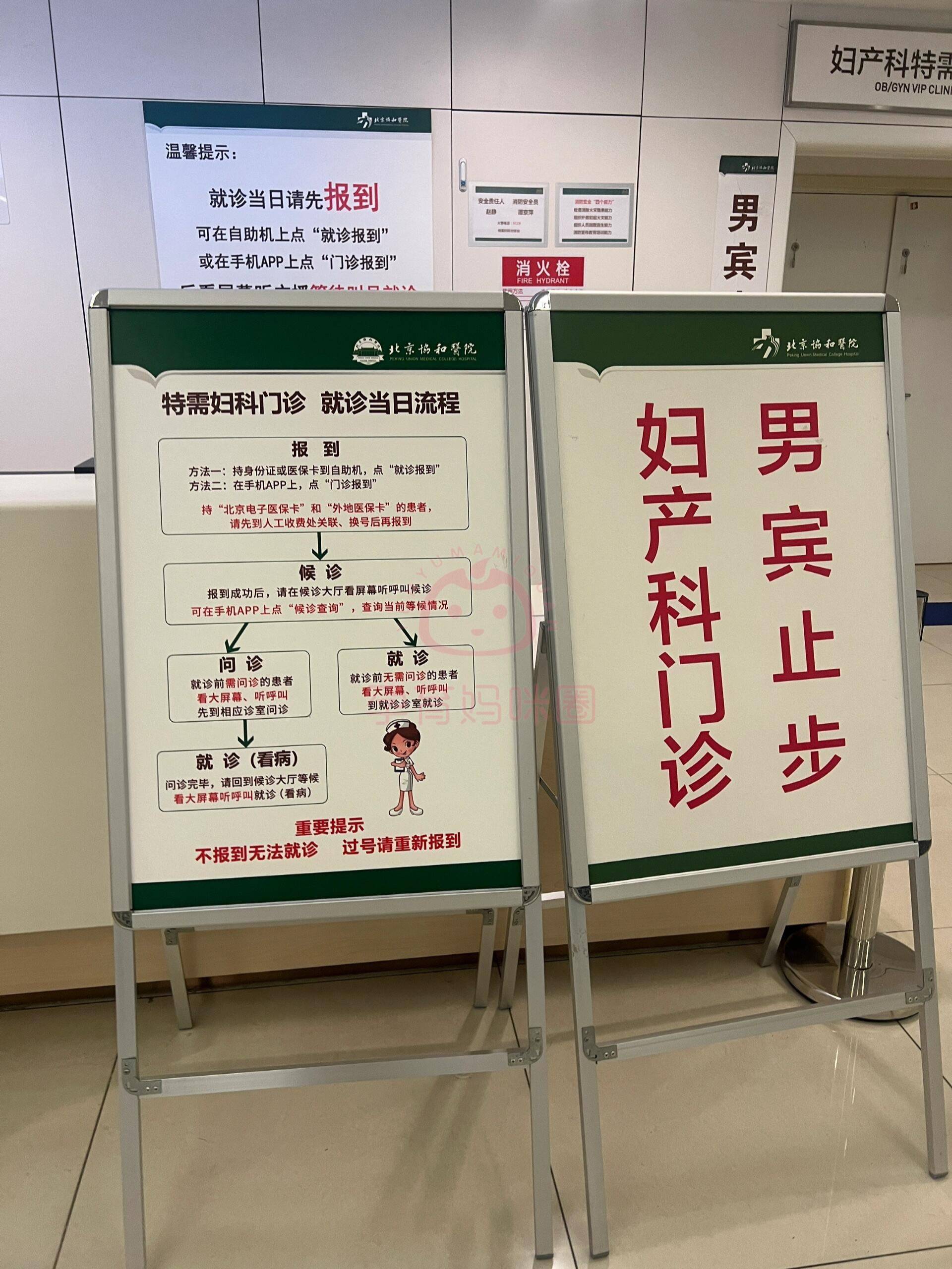 包含北京婦產醫院、護士全程協助陪同號販子掛號，所有別人不能掛的我都能的詞條