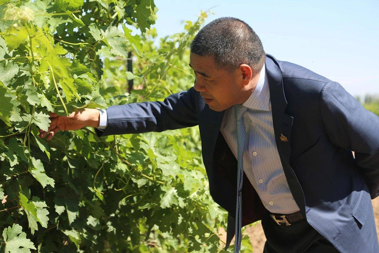 富商2亿买下10万亩荒漠,妻子气得提离婚,谁知5年后2亿变200亿