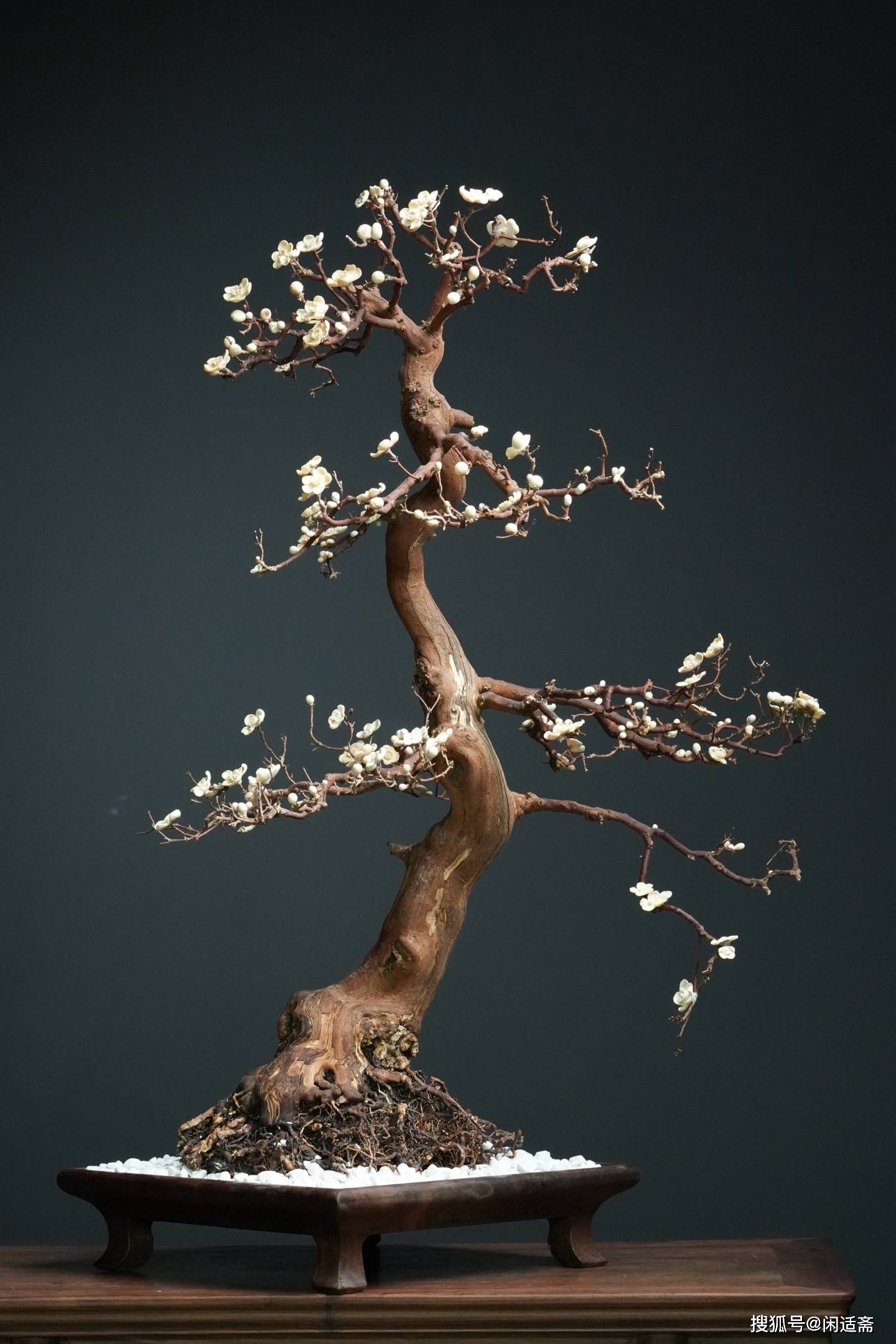 文房清供,寒梅迎春,牙雕装饰盆景