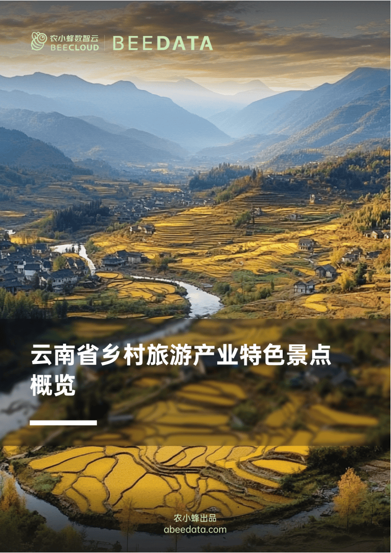 云南省乡村旅游：特色景点大放异彩，云南乡村旅游：独特景点背后的魅力与潜力
