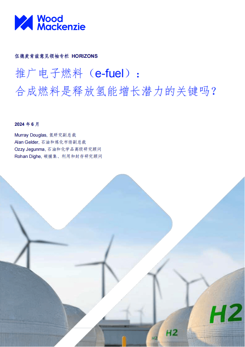 电子燃料：2024年能源转型中的关键角色？，伍德麦肯兹报告：2024年电子燃料推广的机遇与挑战