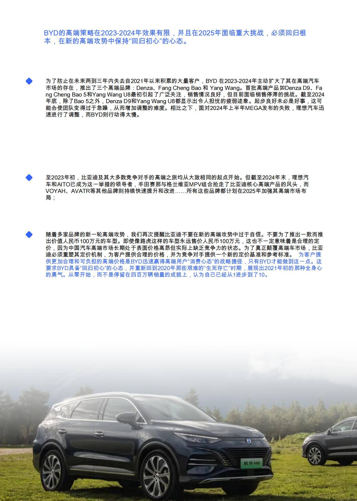 腾一研究所：2025年比亚迪竞争力定位分析，比亚迪购买决策与见解-报告智库
