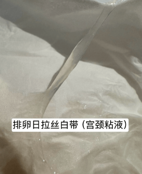 试纸_检测_分泌物