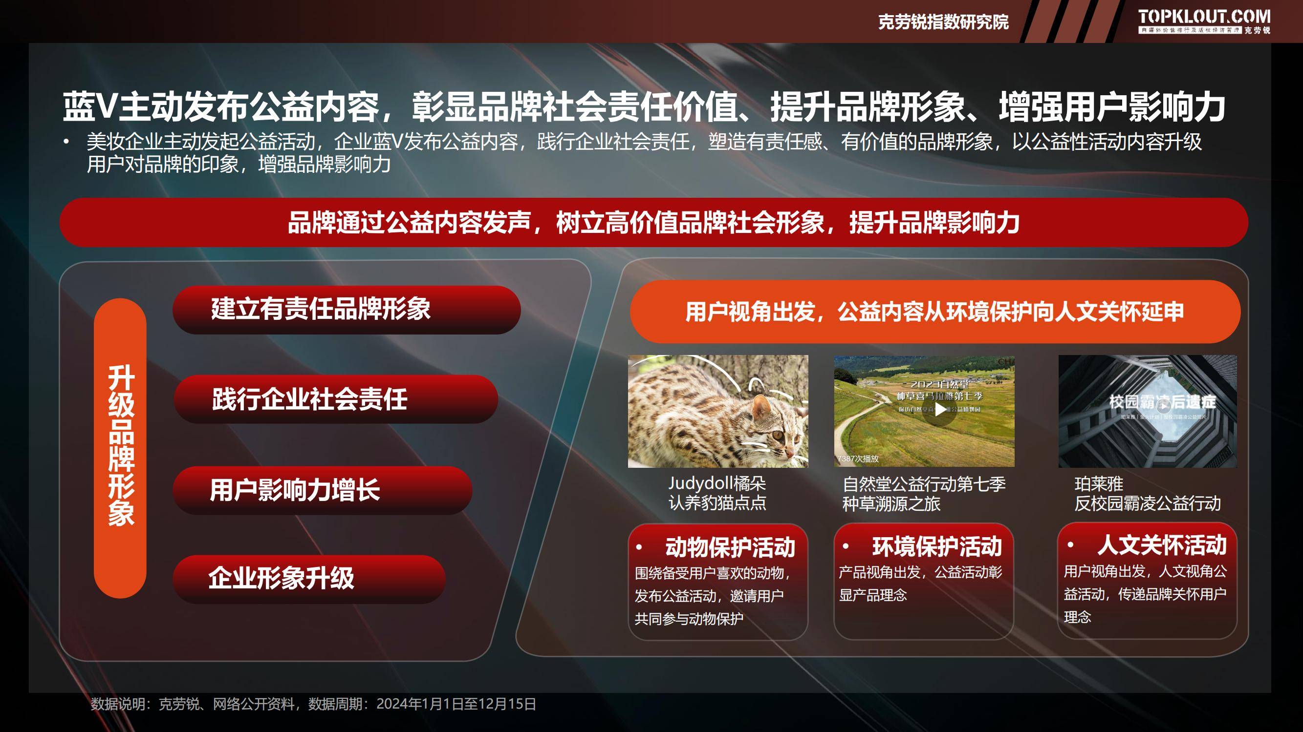 2025年美妆品牌蓝V社交运营策略解析，蓝V矩阵规模与用户互动特征-报告智库