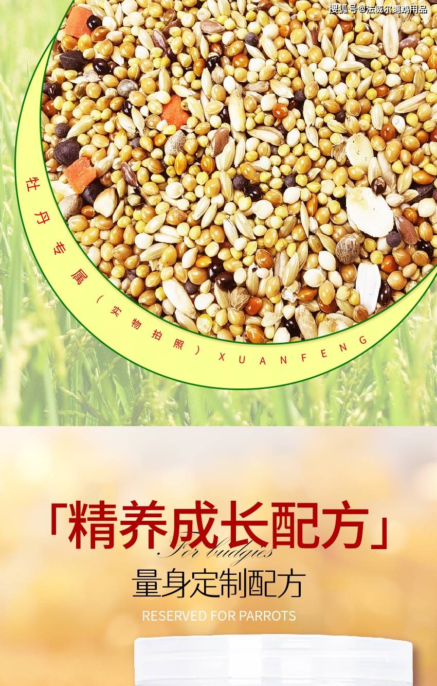 虎皮鹦鹉营养专粮（虎皮鹦鹉的寿命有多长）