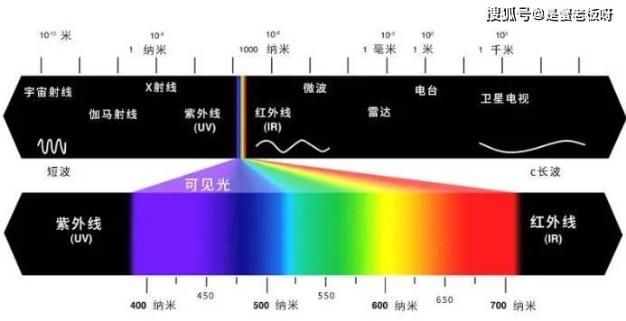 原创            狗经常对着空气乱叫，难道狗真的能看到人类看不见的东西？（狗狗对着空气狂吠）