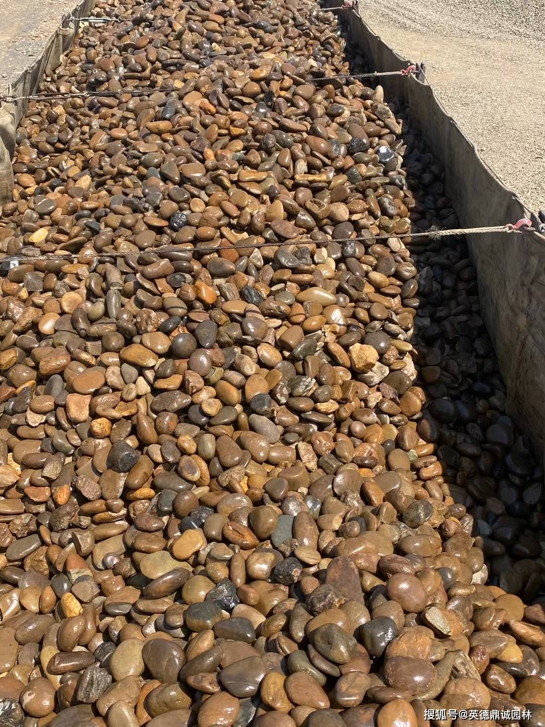 花有花语石有石语鹅卵石造景