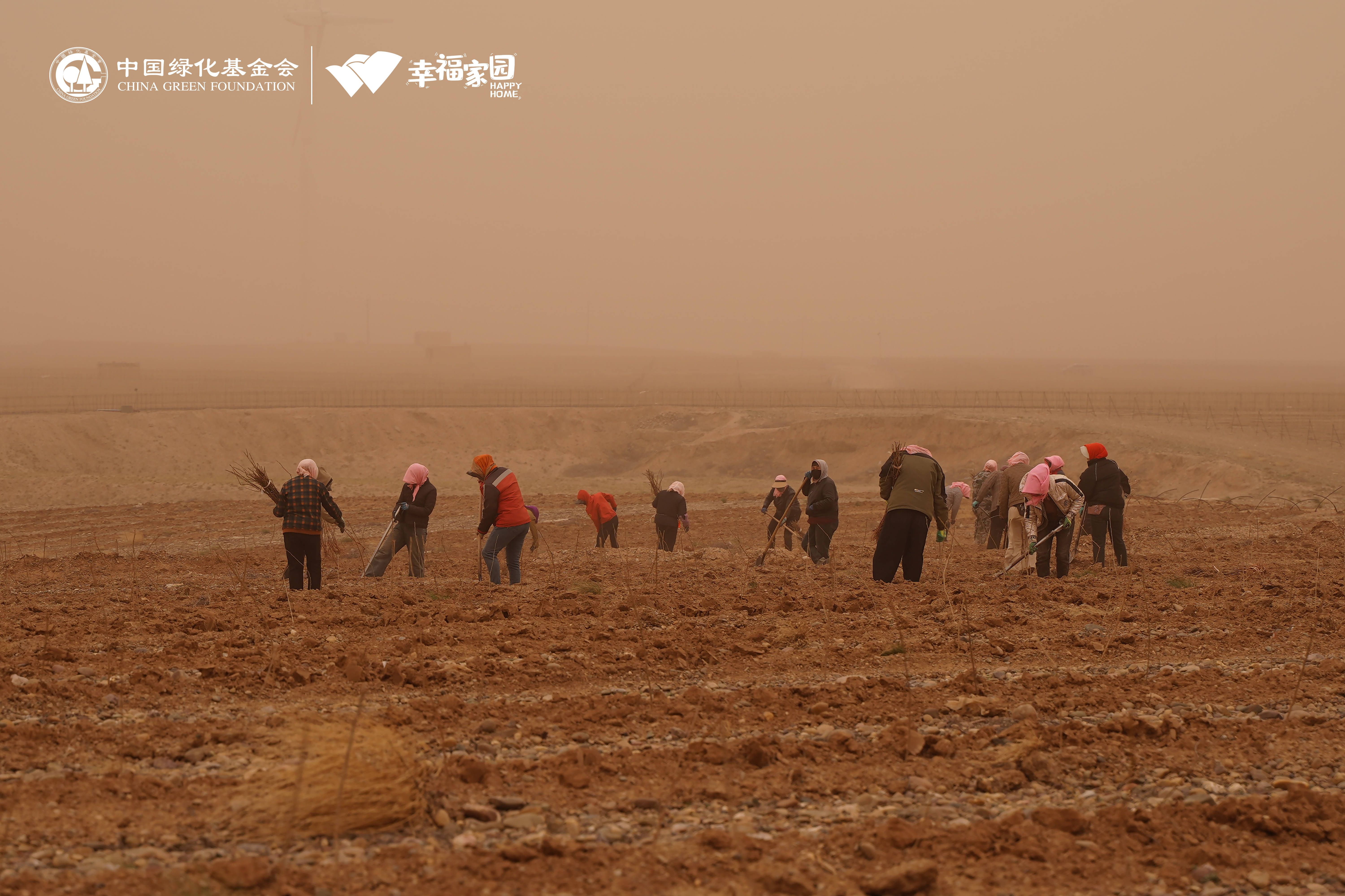 走进幸福家园宁夏项目地 共植"枸杞绿"