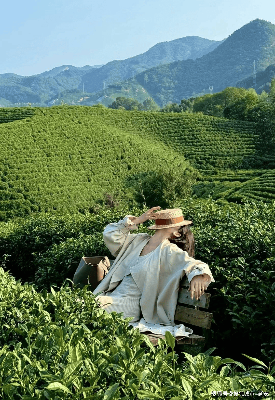 河南私人导游(河南私人导游招聘网)