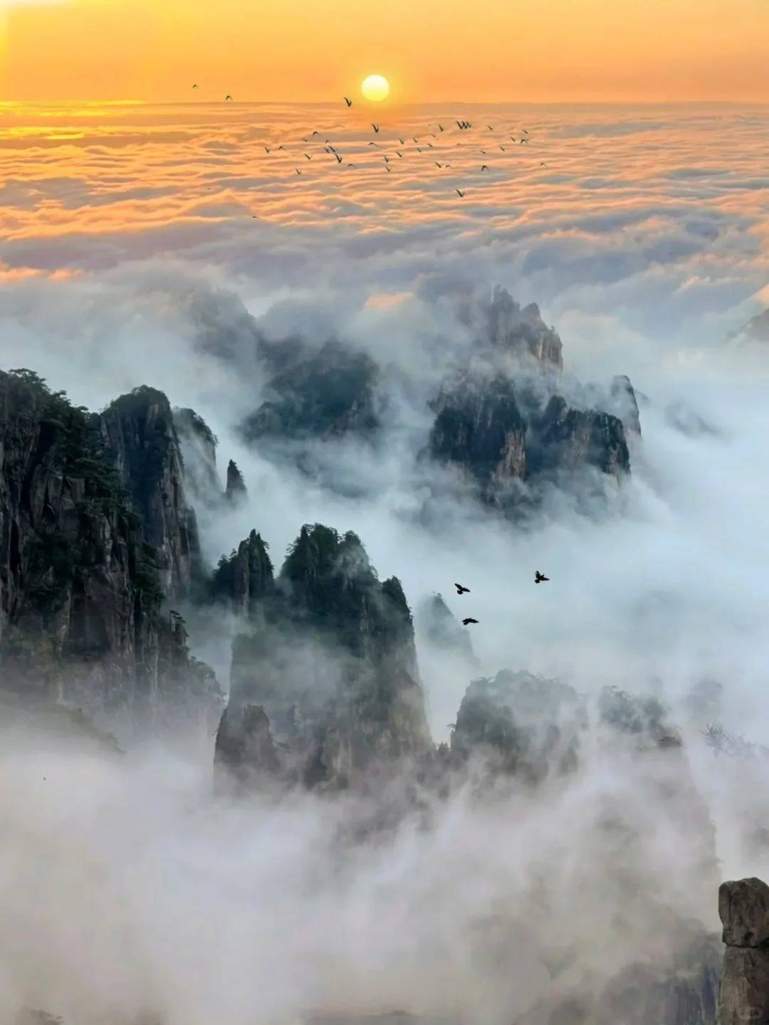 黄山旅游团多少钱