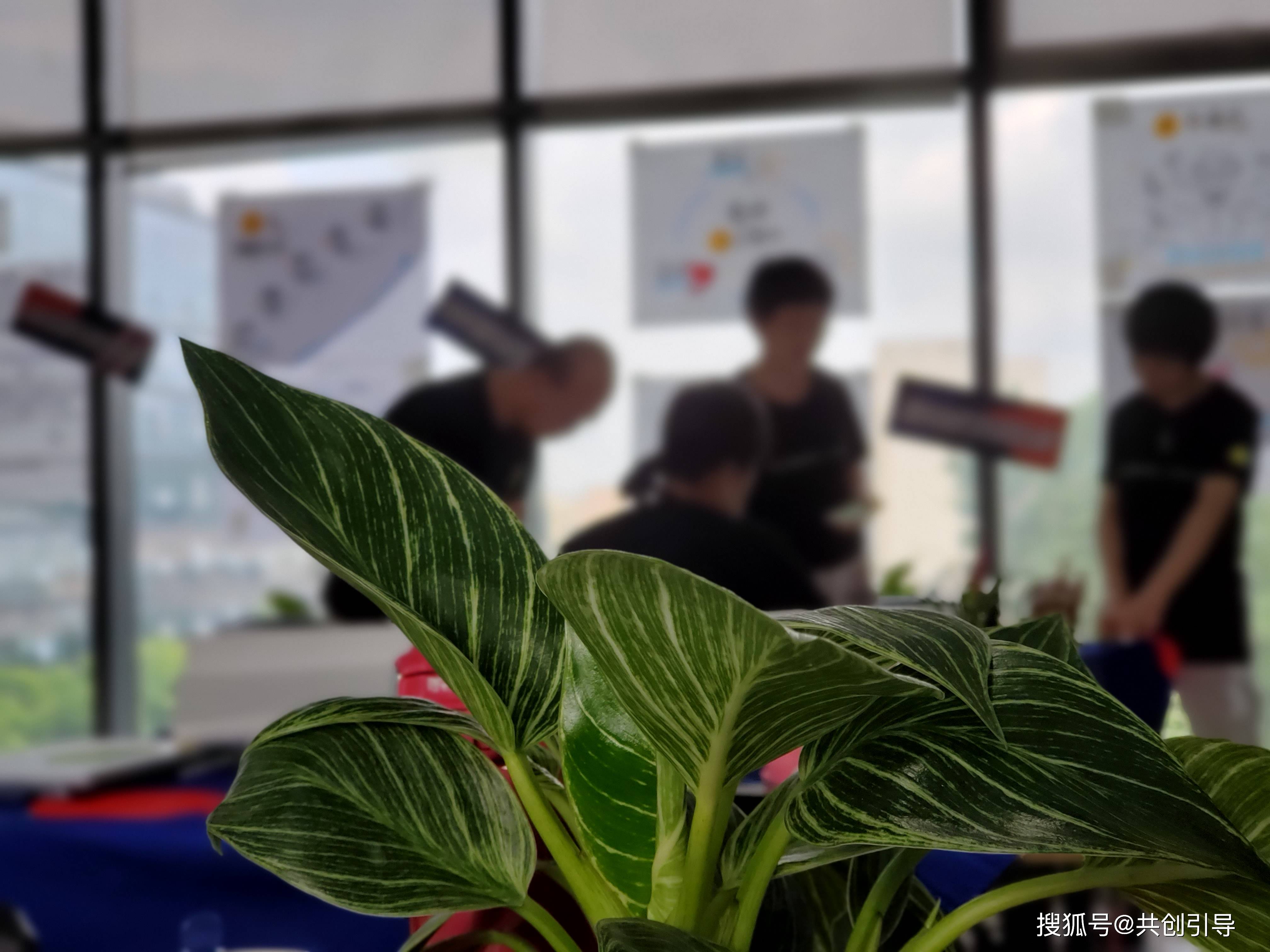 困境破局：新能源汽车行业用户增长策略与实践