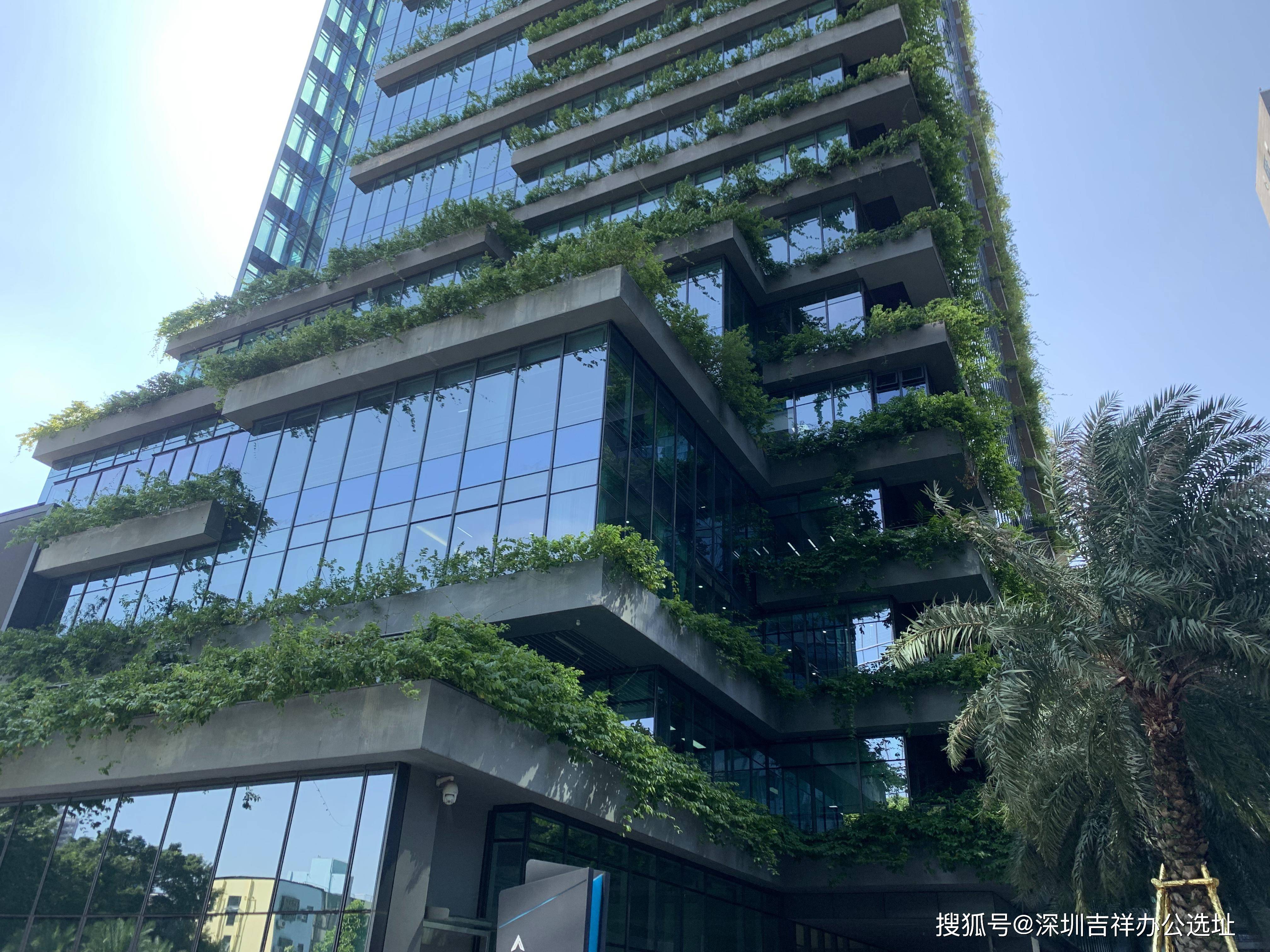 深圳宝安西乡甲级写字楼碧桂园凤凰智谷260平办公室拎包办公