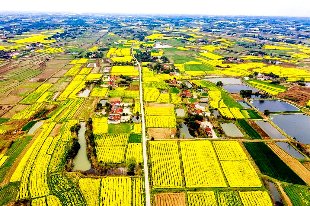 湖北省适不适合重点发展江汉平原?重点发展江汉平原有哪些利弊呢